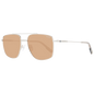 Hackett Sunglasses for Men